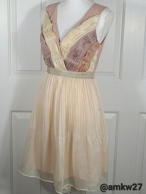 NWT Ryu Intricately Beaded V Neck Chiffon Dress Pleated Dusty Rose Mauve Cream